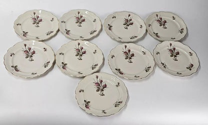 Rosenthal Moss Rose Pompadour Luncheon And Dinner Plate 16pc Set Vintage 1950's